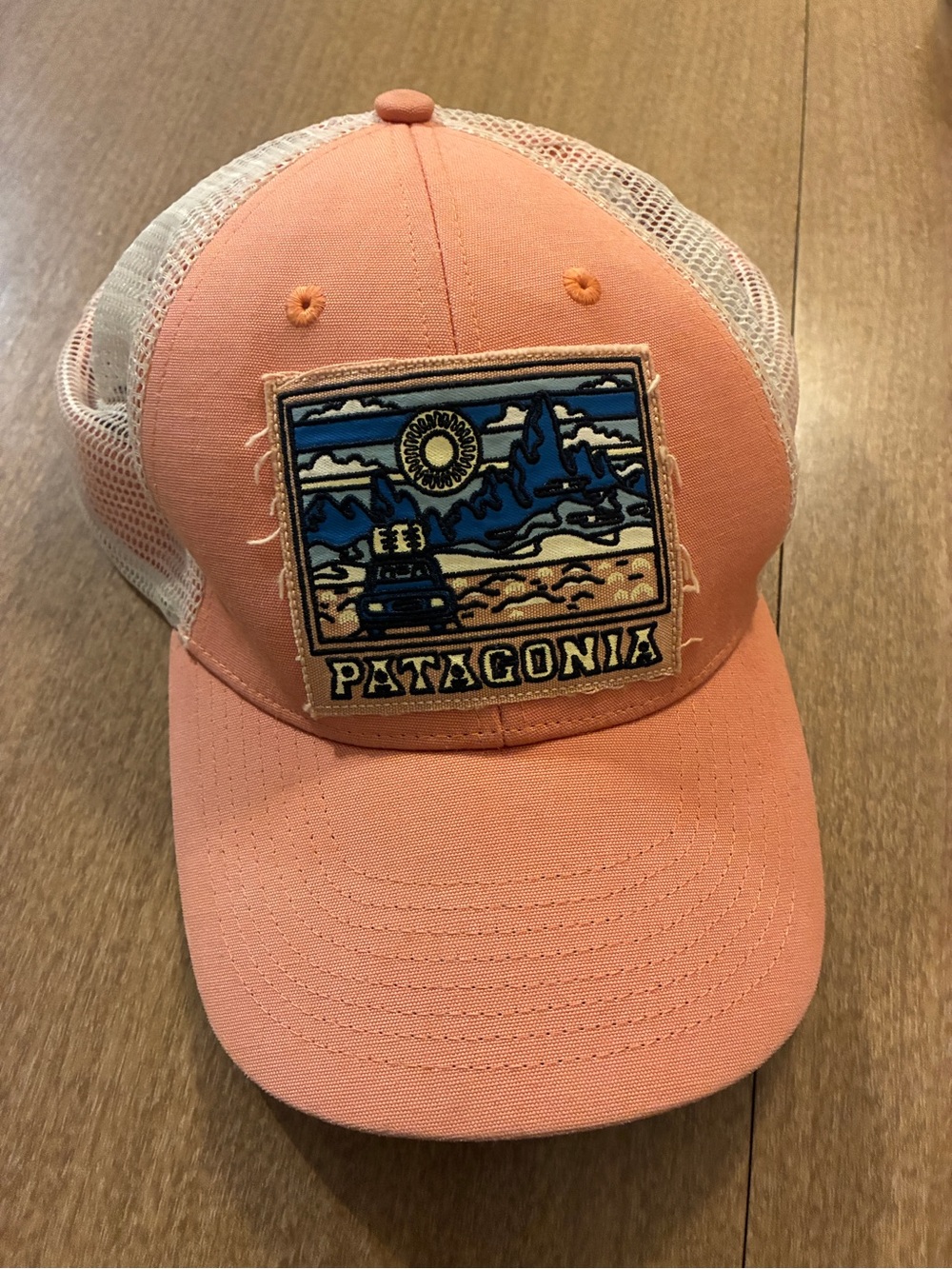 Patagonia Women’s Cap